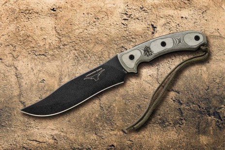 Longhorn Bowie