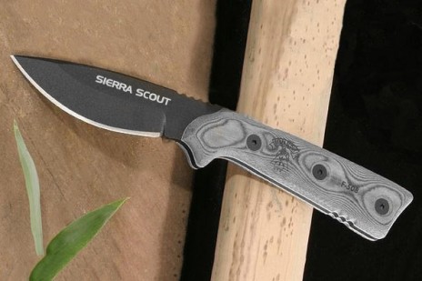 Sierra Scout