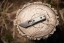 TOPS ALRT XL-03 compact fixed blade knife featuring a black utility blade with a durable angular tip and black canvas micarta handles.