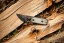 TOPS ALRT XL-05 compact fixed blade knife featuring a black hunter's point blade shape and black canvas micarta handles.