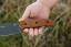Versatile Armado 6.5 knife, simple yet powerful design for camping, cooking, and more.