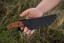 Versatile Armado 6.5 knife, simple yet powerful design for camping, cooking, and more.