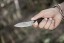 Bird and Trout Knife BTK