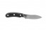 Bird and Trout Knife BTK