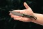 Brakimo Slim Damascus